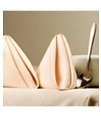 Spun Napkins & Table Linen